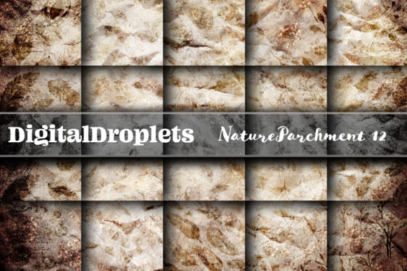 Nature Parchment Vol. 12: A Bold Textured Collection
