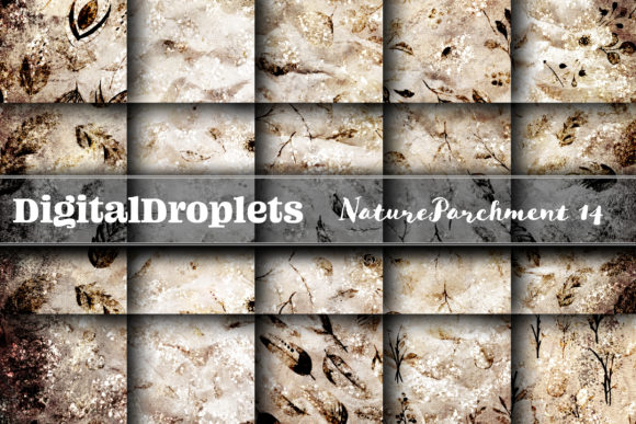 Nature Parchment Vol. 14: Bold, Crinkled Textures for Your Designs