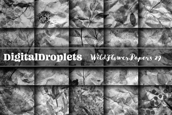 Wild Flowers Papers Vol. 29 | Collection